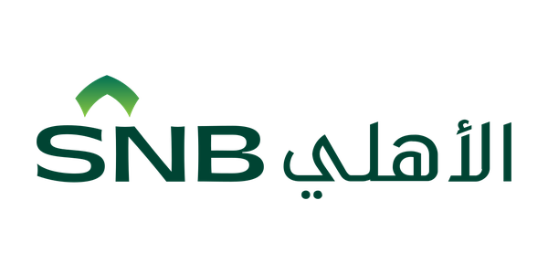 19-snb